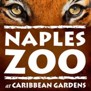 Naples Zoo