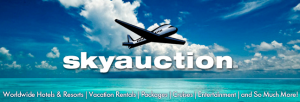 SkyAuction