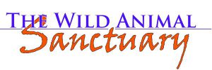 The Wild Animal Sanctuary