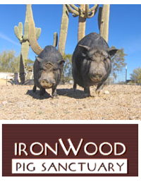 Ironwood Pig Sanctuary