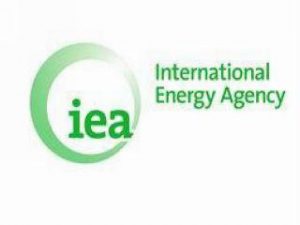 International Energy Agency (IEA)