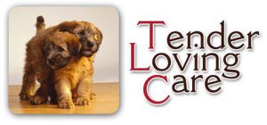 TLC Pet Transport & In Home Care