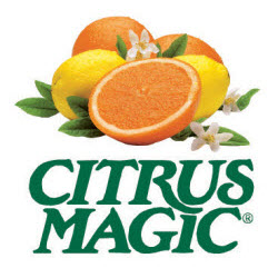 Citrus Magic