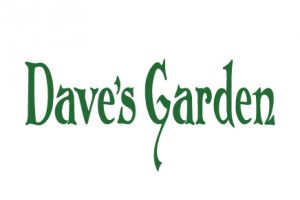 Dave's Garden