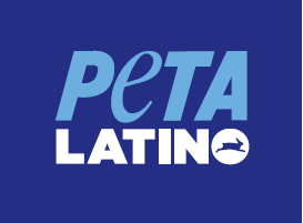 PETA Latino