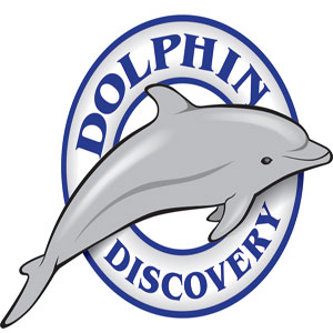 Dolphin Discovery