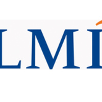 LMI Government Consulting