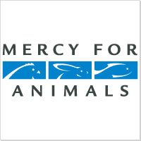 Mercy For Animals