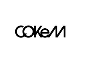 Cokem International ltd