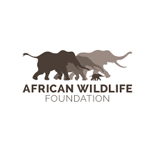 African Wildlife Foundation