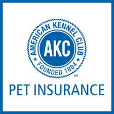 AKC Pet Insurance