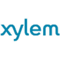 Xylem