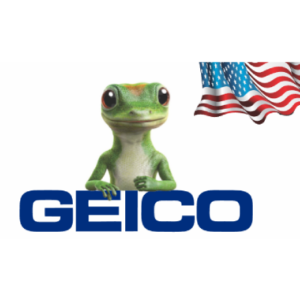 Geico Insurance Florida