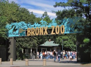 Zoológico Bronx New York: Teléfonos de Contacto en Español