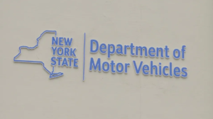 motor vehicle albany ny