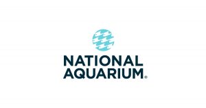 Acuario de Washington DC (National Aquarium)