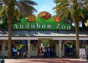 Zoologico de New Orleans (Audubon Zoo)