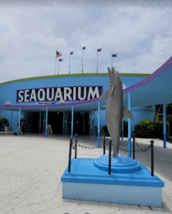 Acuario de Miami (Seaquarium)