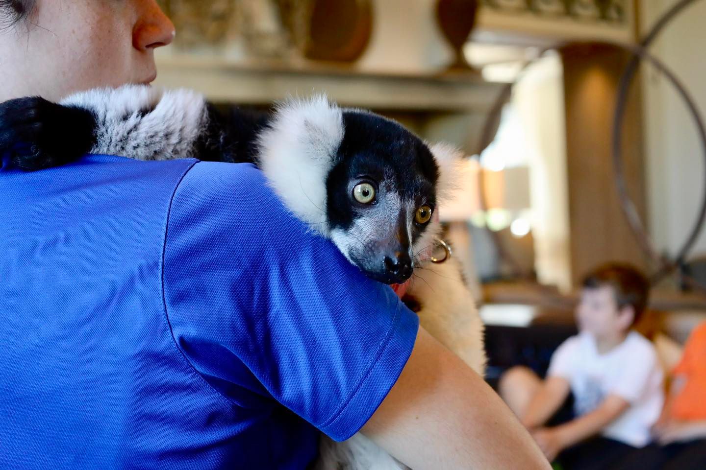 Acuario de San Antonio (San Antonio Aquarium) Precio de Tickets