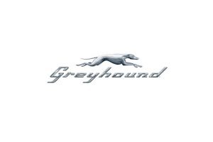 Greyhound Reynosa