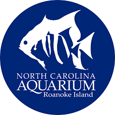 North Carolina Aquarium (Acuario De Carolina Del Norte)