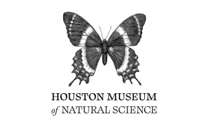 museo de ciencias naturales en houston tx en español, museum sciencie natural houston tx