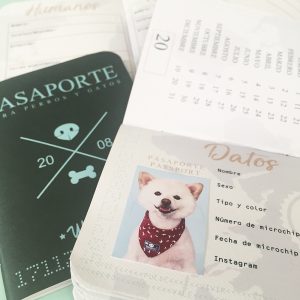 Pasaporte para Perros Estados Unidos