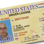 Como Chequear, Sacar Cita y Verificar la Licencia de Conducir