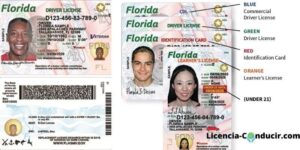 Cita para licencia de conducir en Tampa FL