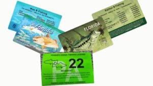 Licencia para pescar en Tampa FL