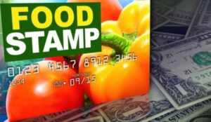 West Virginia food Stamps