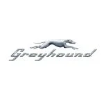 Greyhound Raleigh Nc