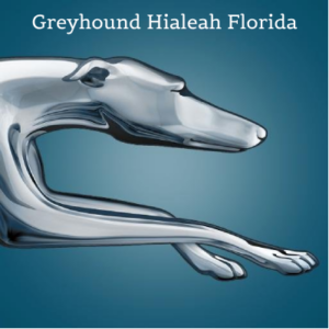 Greyhound Hialeah FL