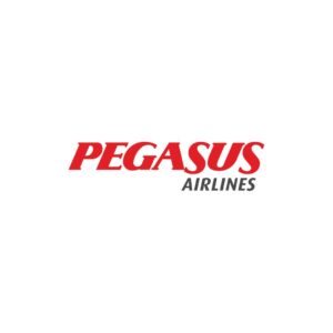 Pegasus airlines Georgia Número de Teléfono