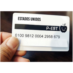 Como Aplicar para p-ebt en Español