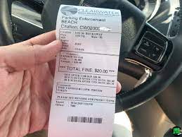 Como pagar un ticket de policía por internet