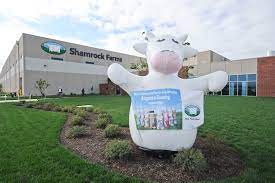 Shamrock Farms