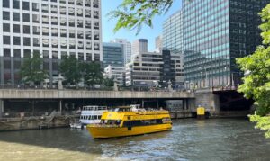 water-taxi-chicago-ratlady