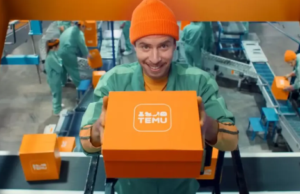 Repartidor o Vendedor en Temu
