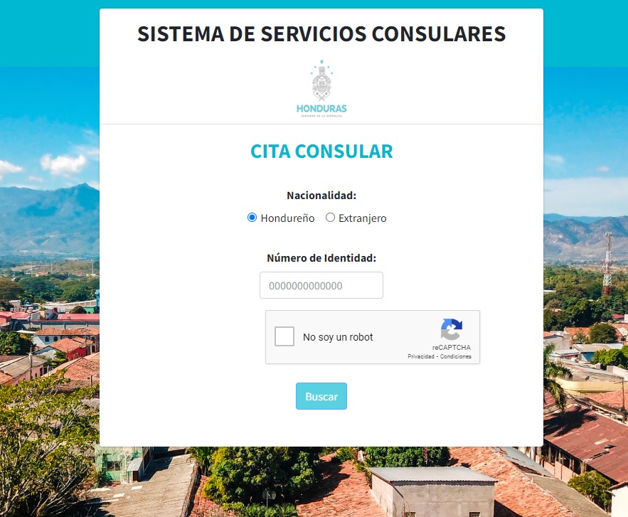 Paso 1: Accede al portal de citas consulares