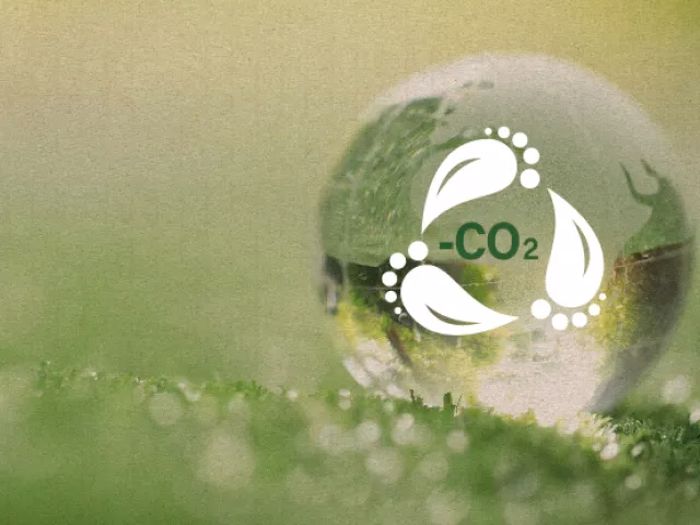 Eliminación de plásticos y productos sostenibles