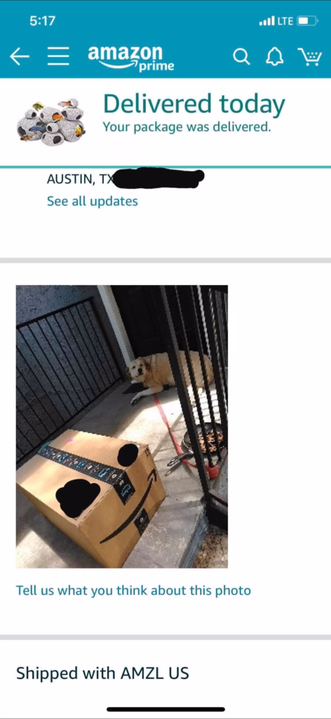 Amazon app delivery photo proof example